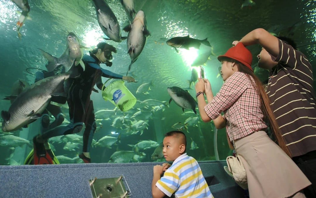Chiang Mai Zoo & Aquarium Tickets Image 6