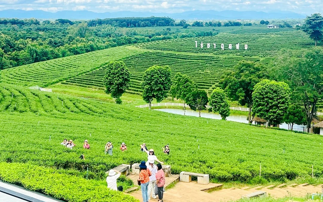 Chiang Rai Guided Tour: White Temple, Blue Temple & Black House Museum with Lunch & All Admissions Included Image 9