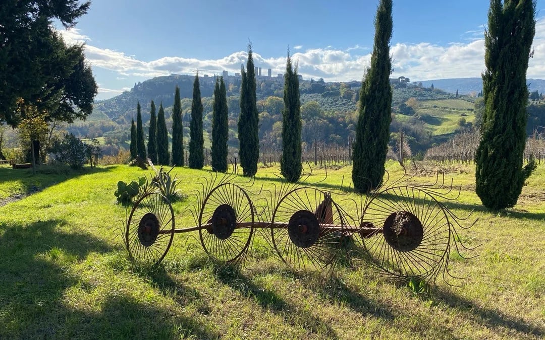 Chianti Vespa Tour with Vernaccia Wine Tasting and Winery Visit at Sunset Image 4