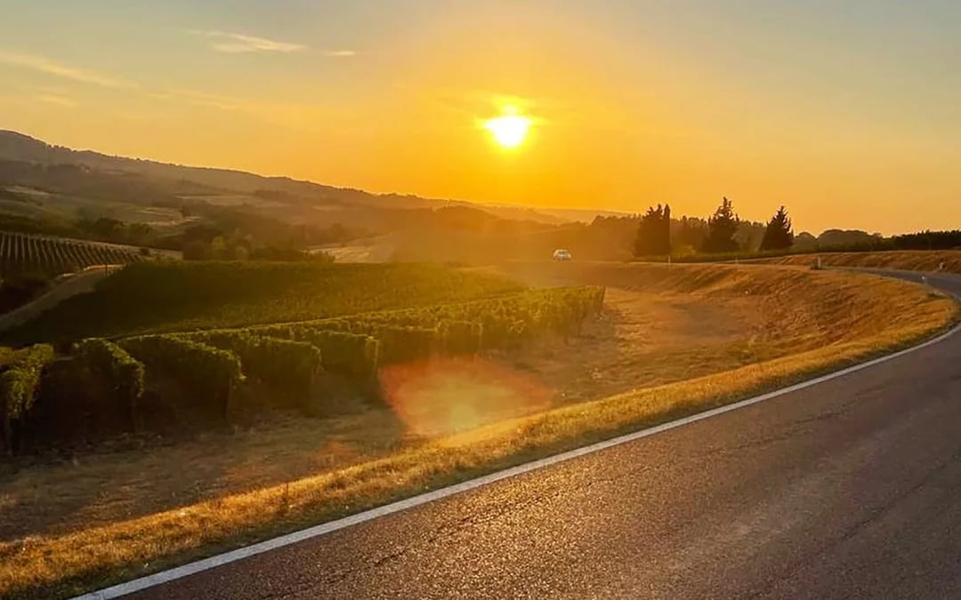 Chianti Vespa Tour with Vernaccia Wine Tasting and Winery Visit at Sunset Image 8