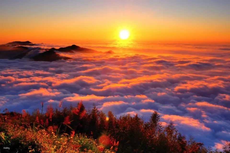 Chiayi Alishan National Forest Recreation Area Tickets & Packages