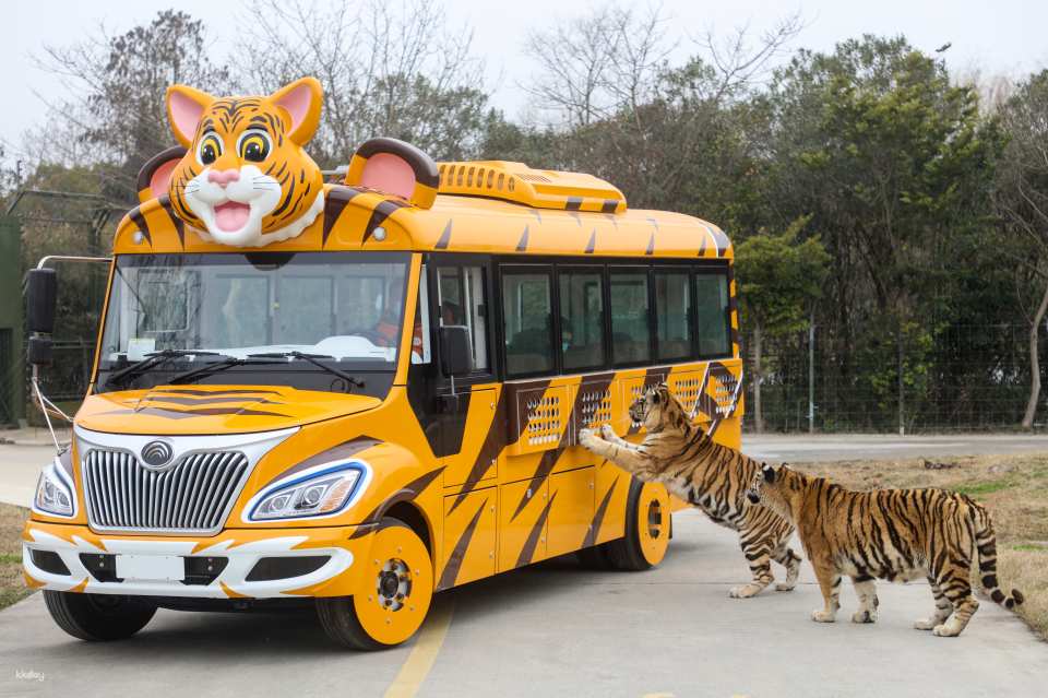 China Shanghai Wild Animal Park Ticket