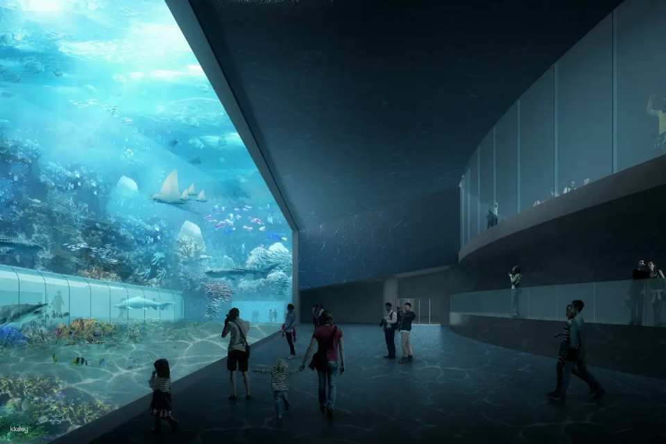 [China] Shenzhen Xiaomeisha Ocean World Tickets