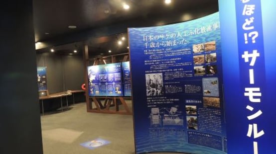 Chitose Salmon Aquarium Ticket Student (Junior High School Student)