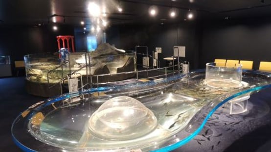 Chitose Salmon Aquarium