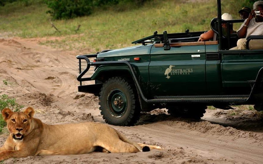 Chobe National Park Guided Game Drive and River Safari with Lunch and Transfers Image 2