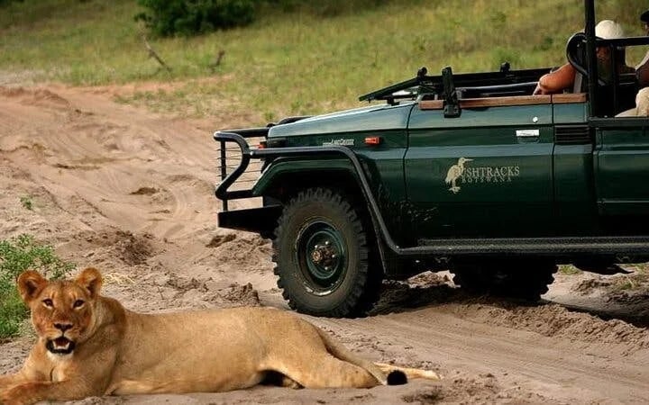 Chobe National Park Guided Safari with Game Drive, River Cruise, Transfers, and Lunch Image 9