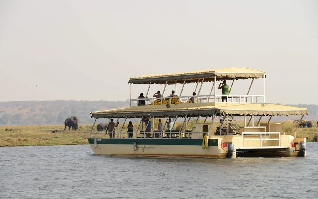 Chobe River Boat Safari with Wildlife Viewing, Lunch, and Transfers Image 5