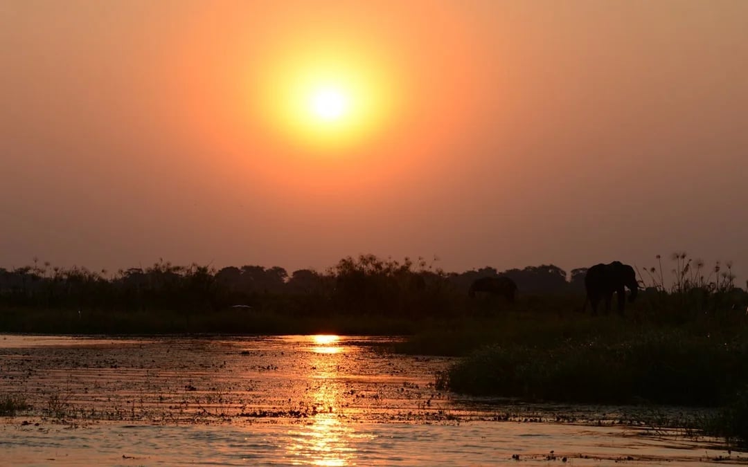 Chobe River Boat Safari with Wildlife Viewing, Lunch, and Transfers Image 9