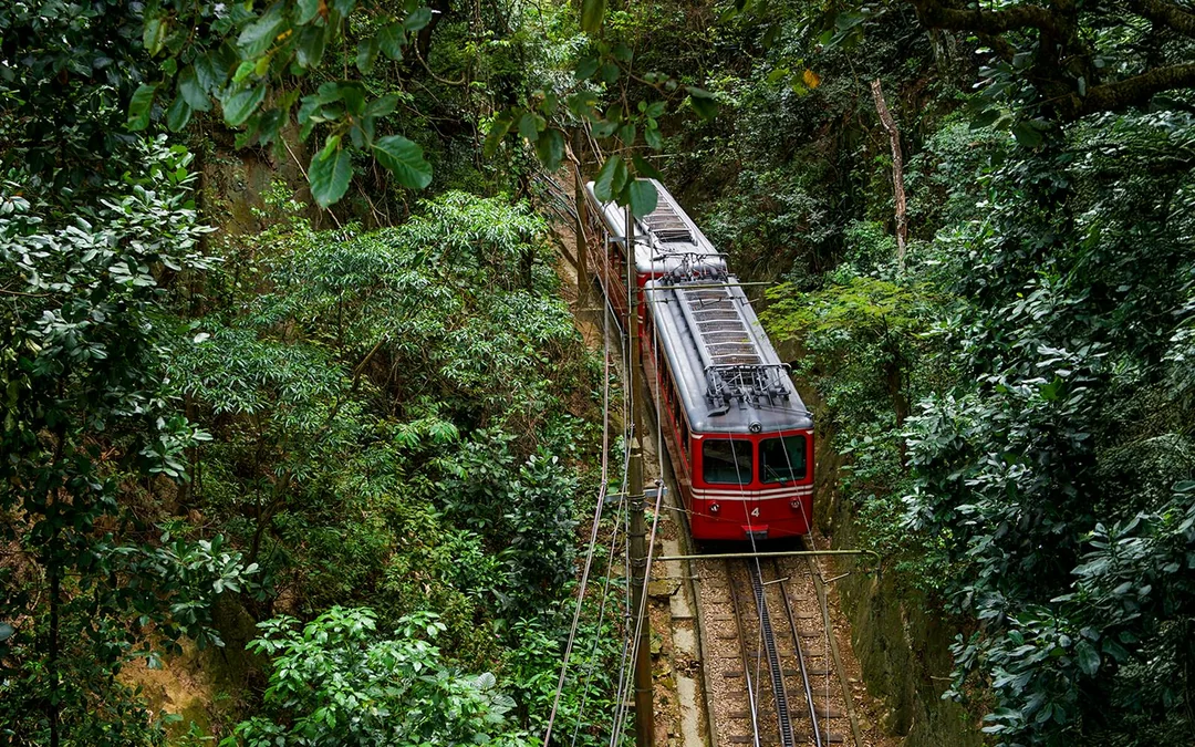 Christ the Redeemer Tickets with Round-Trip Corcovado Train Transfers Image 2