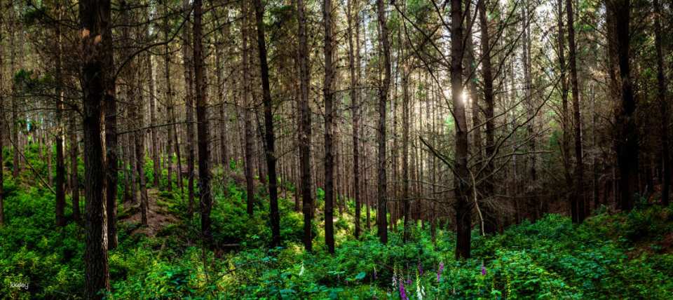 Christchurch Adventure Park | New Zealand