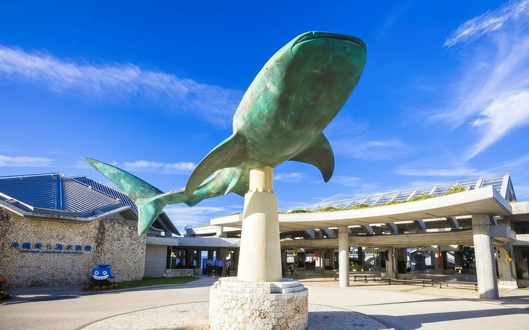 Churaumi Aquarium After 5 Entry Ticket Image 1