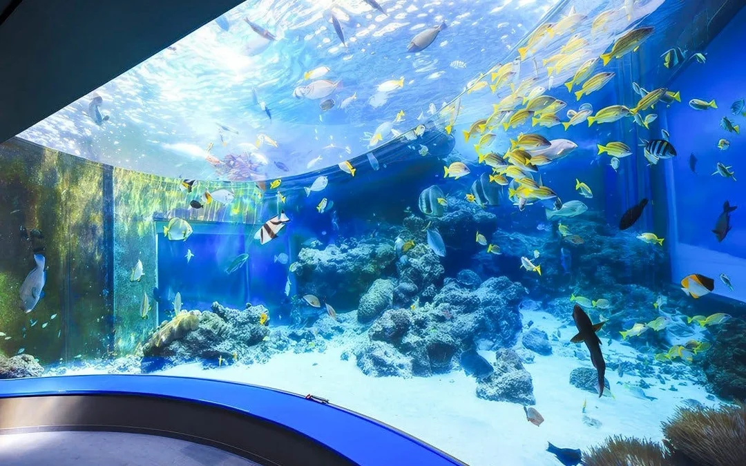 Churaumi Aquarium After 5 Entry Ticket Image 5