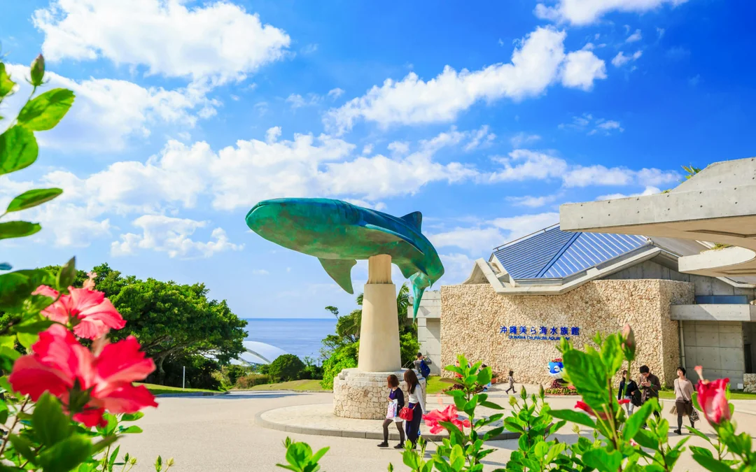 Churaumi Aquarium After 5 Entry Ticket Image 8
