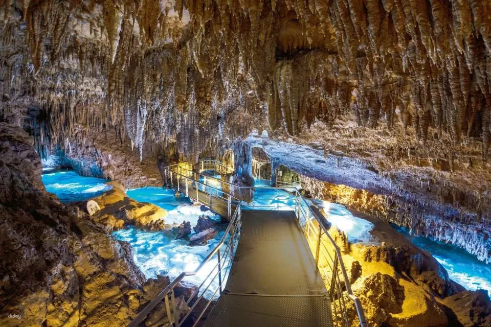 Okinawa | Churaumi Tokutoku 5 Pass / Okinawa Tokutoku 3 Pass | Instant Booking Confirmation