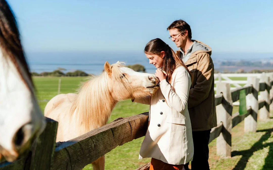 Churchill Island Tickets & Optional Entry to Phillip Island Nature Parks Image 1