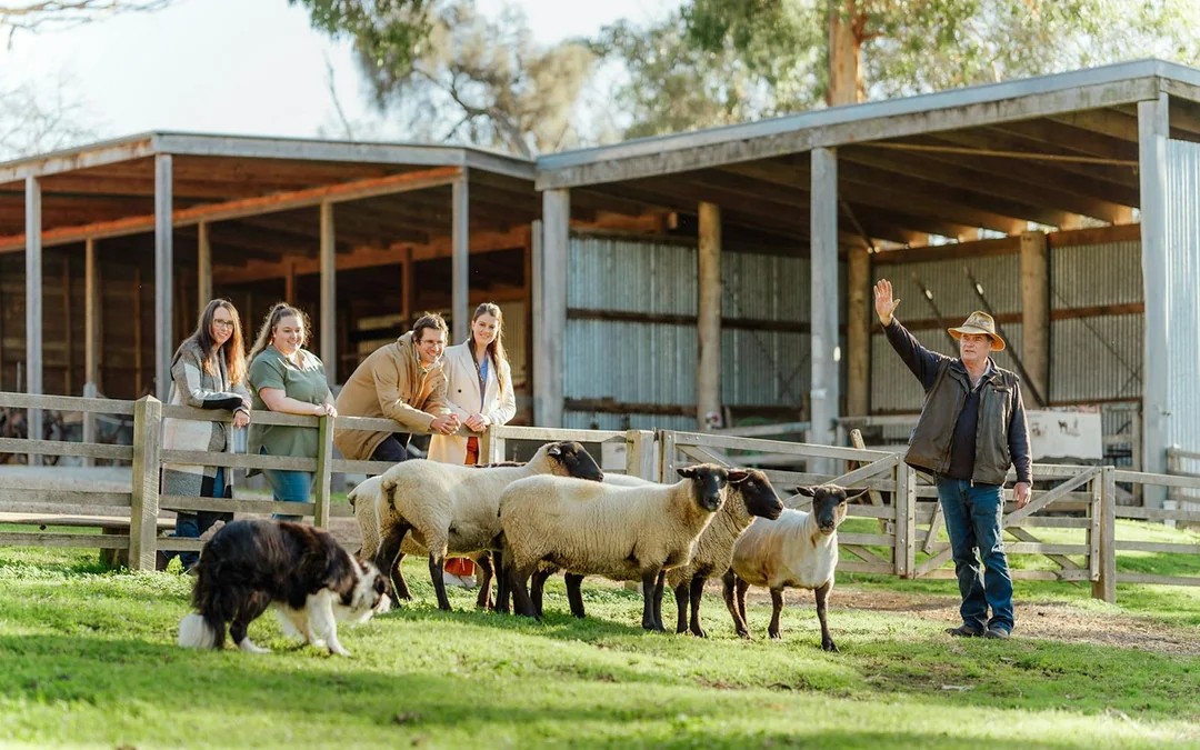Churchill Island Tickets & Optional Entry to Phillip Island Nature Parks Image 2