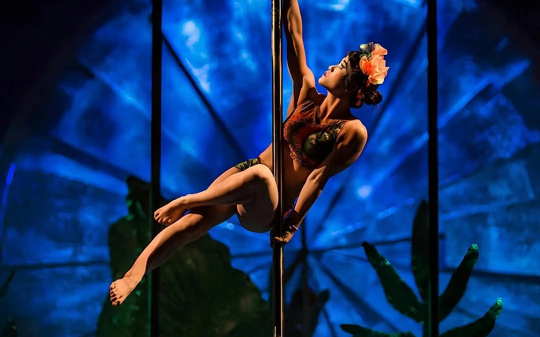 Cirque du Soleil Luzia: Ottawa Image 5