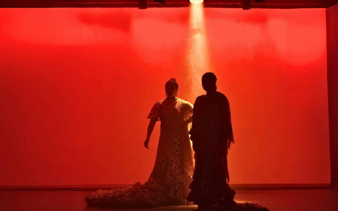 City Hall Theatre - Flamenco Show Image 7