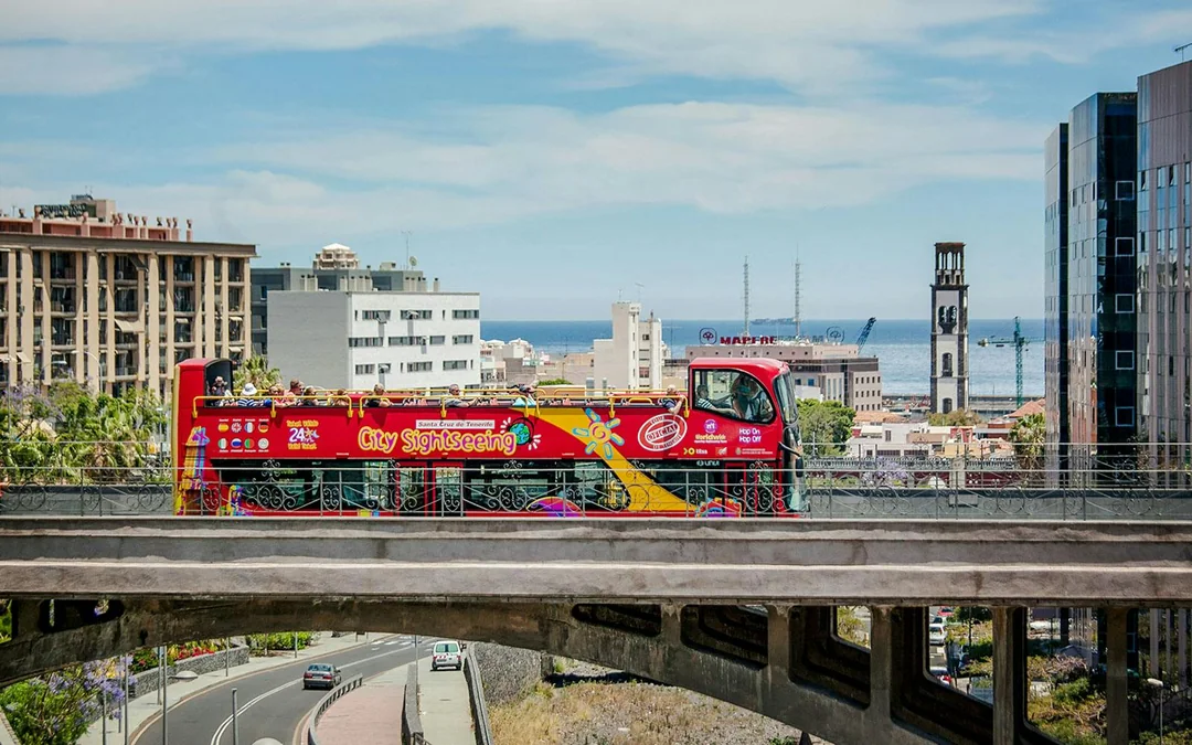 City Sightseeing: Santa Cruz de Tenerife Hop-on Hop-off Bus Tour Image 11