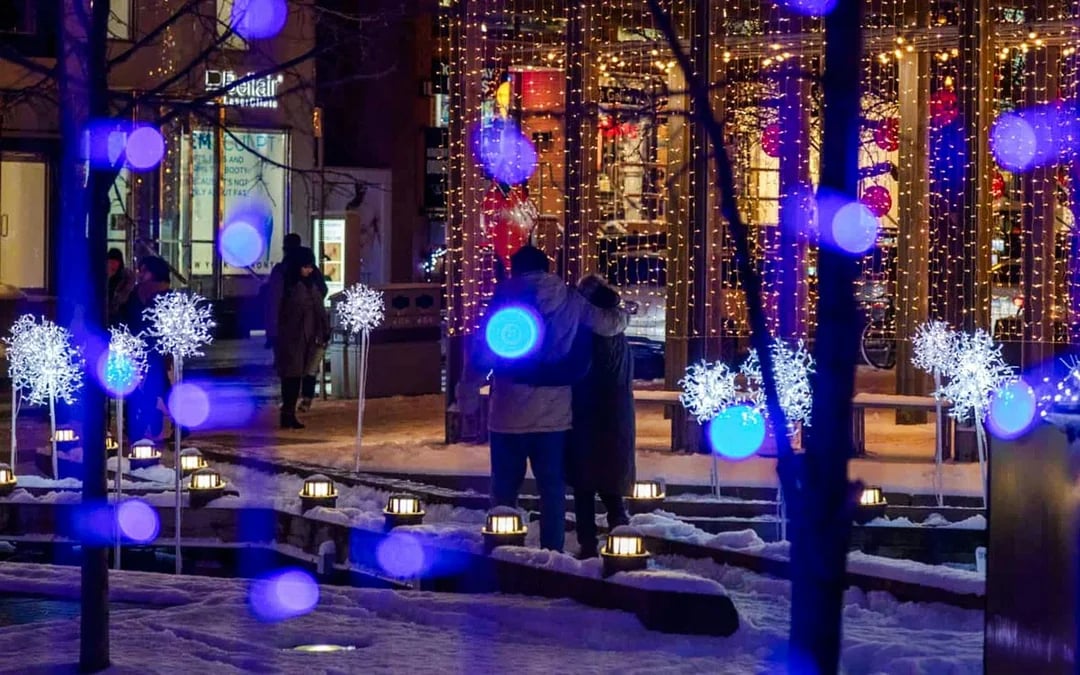 City Sightseeing: Toronto Festive Lights Panoramic Tour Image 5