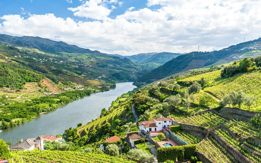 Classic Douro Valley Guided Tour with 1-Hour Pinhão Cruise, Traditional Lunch & Wine Tastings
Image 1