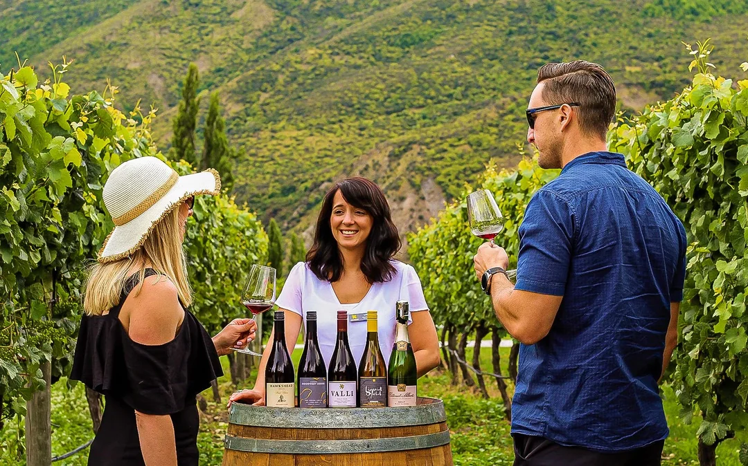 Classic Wine Tour from Queenstown Image 4