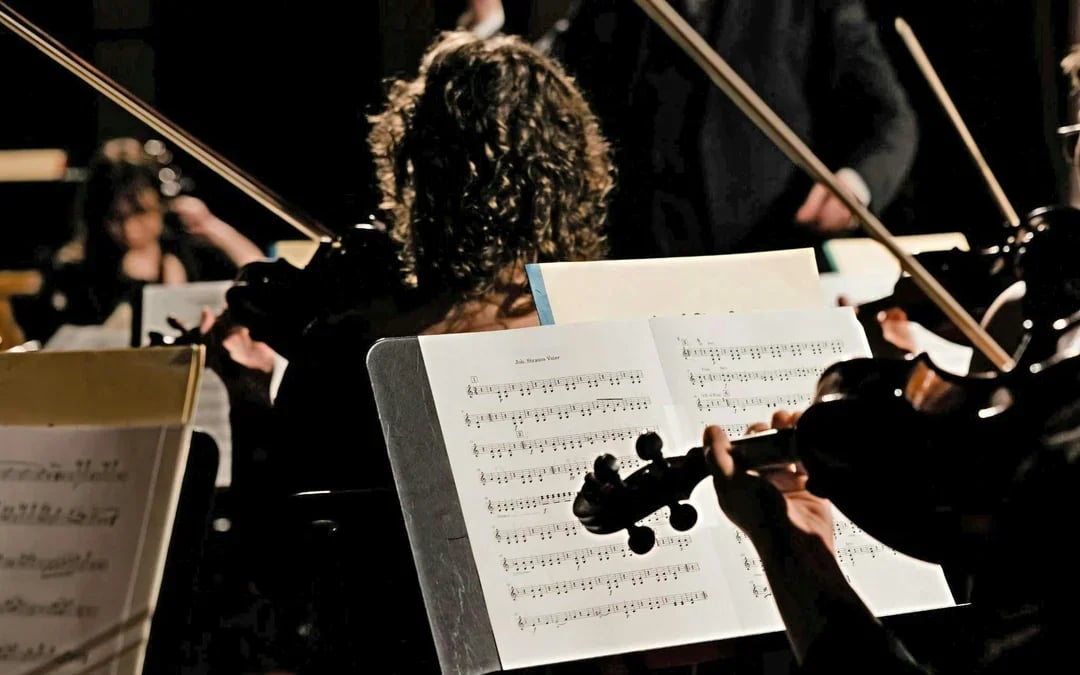 Classics of Austria Concert Tickets with Museum Entry & Sparkling Wine Reception Image 7