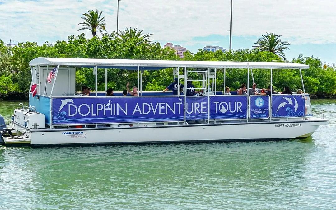 Clearwater Marine Aquarium Tickets Image 3