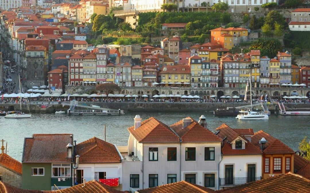 Clérigos Tower Guided Tour with Porto City Highlights  Image 4