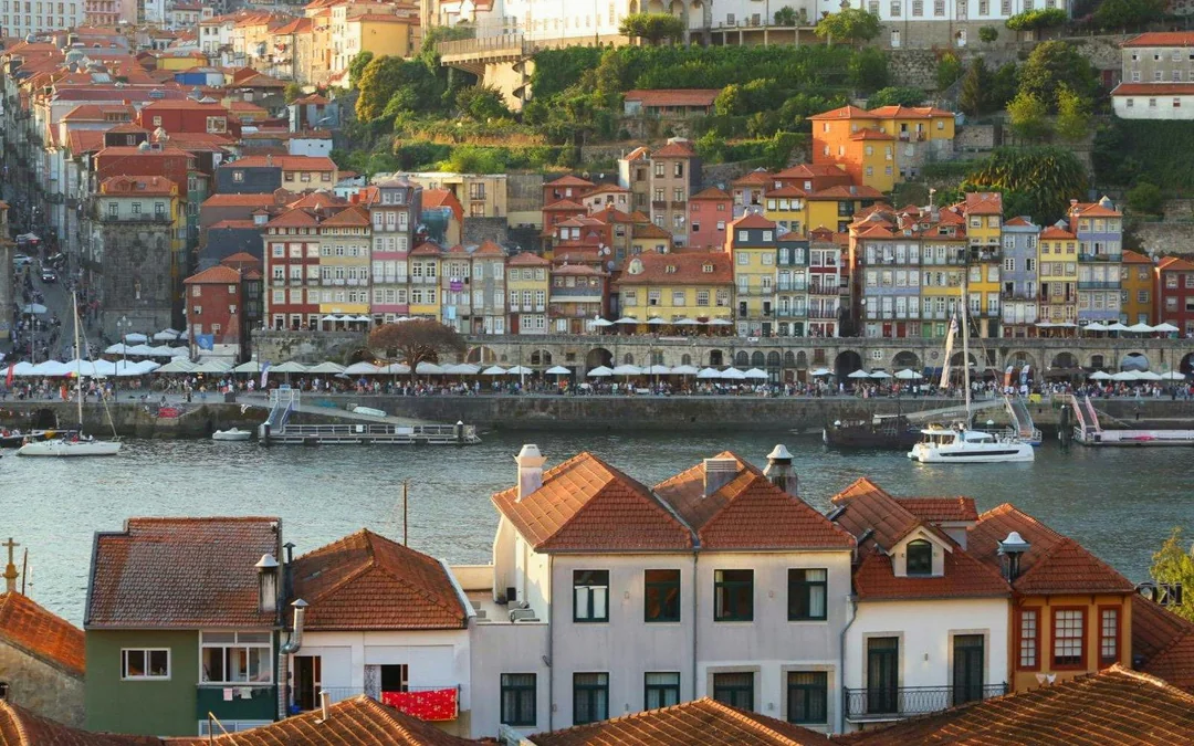 Clérigos Tower Guided Tour with Porto City Highlights  Image 4