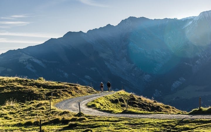 Col des Aravis by bike – Half day Tour de France with Guide Image 5