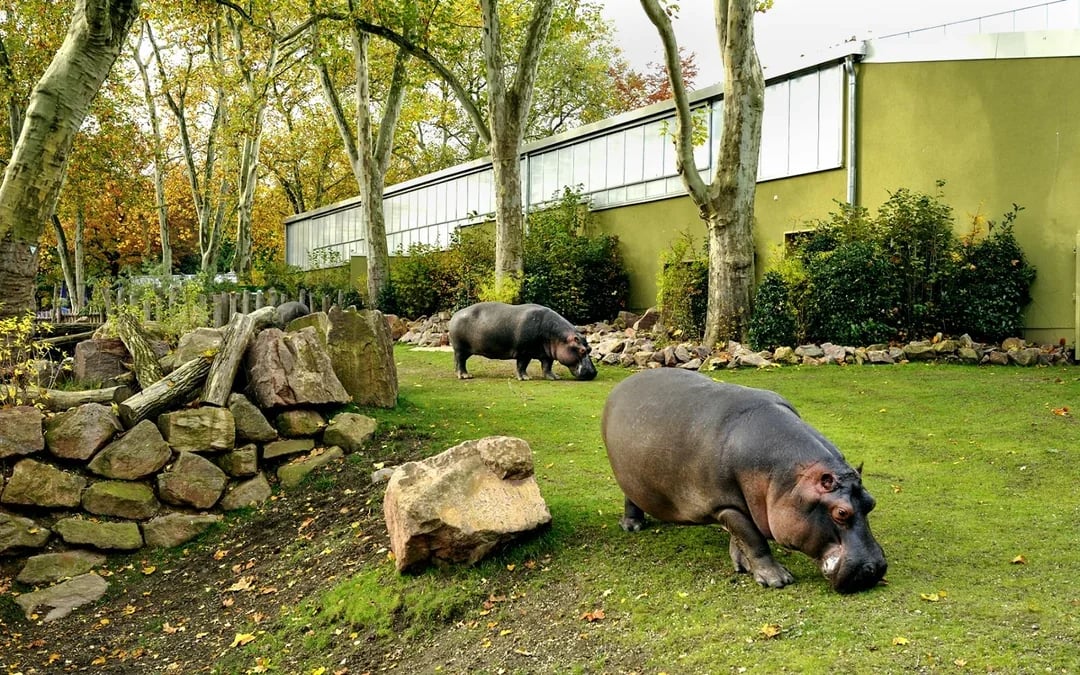 Cologne Zoo and Aquarium Entry Tickets Image 2
