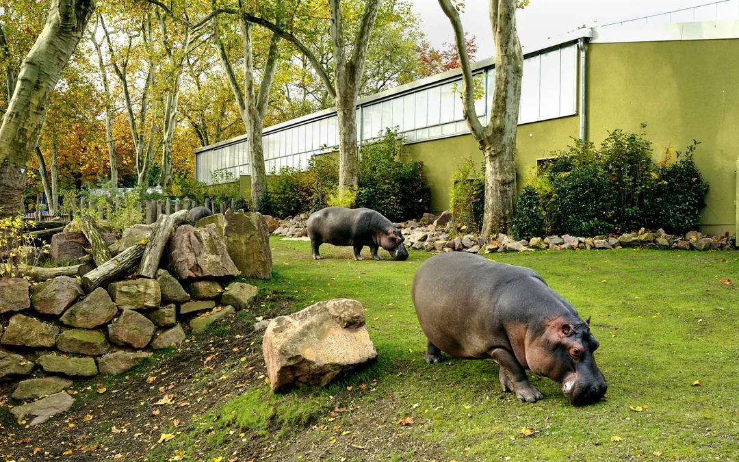Cologne Zoo and Aquarium Entry Tickets Image 2