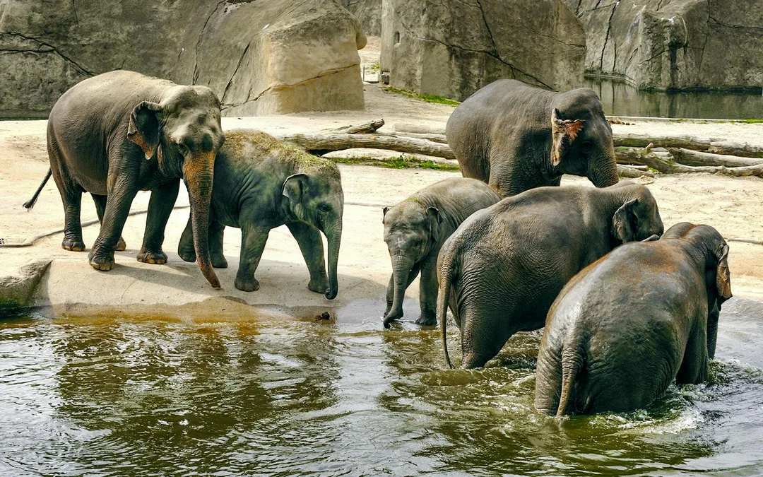 Cologne Zoo and Aquarium Entry Tickets Image 3