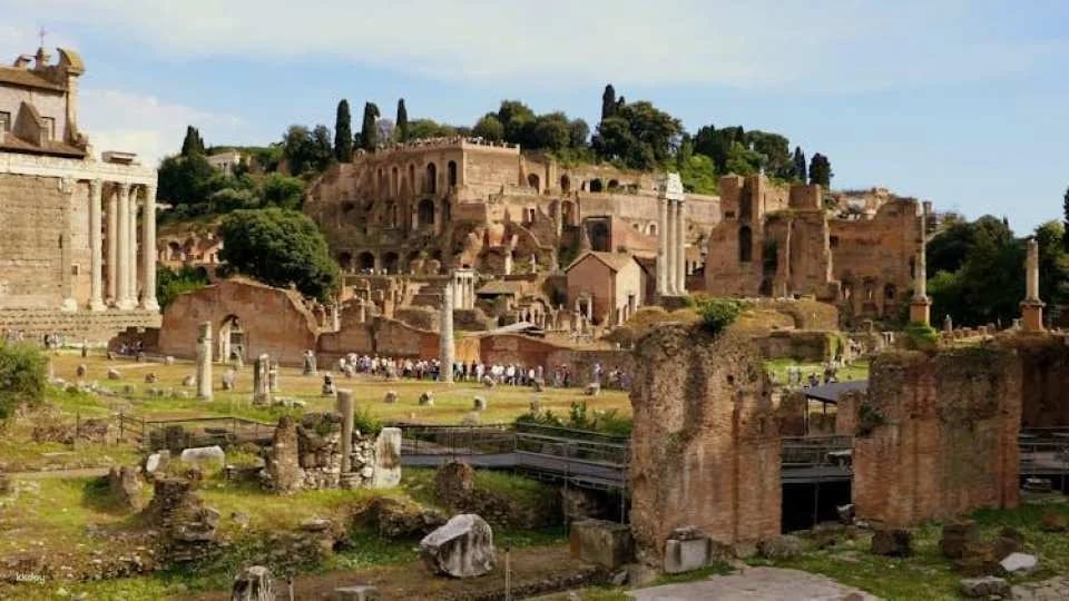Colosseum, Roman Forum and Palatine Hill Experience with City Walking Tour