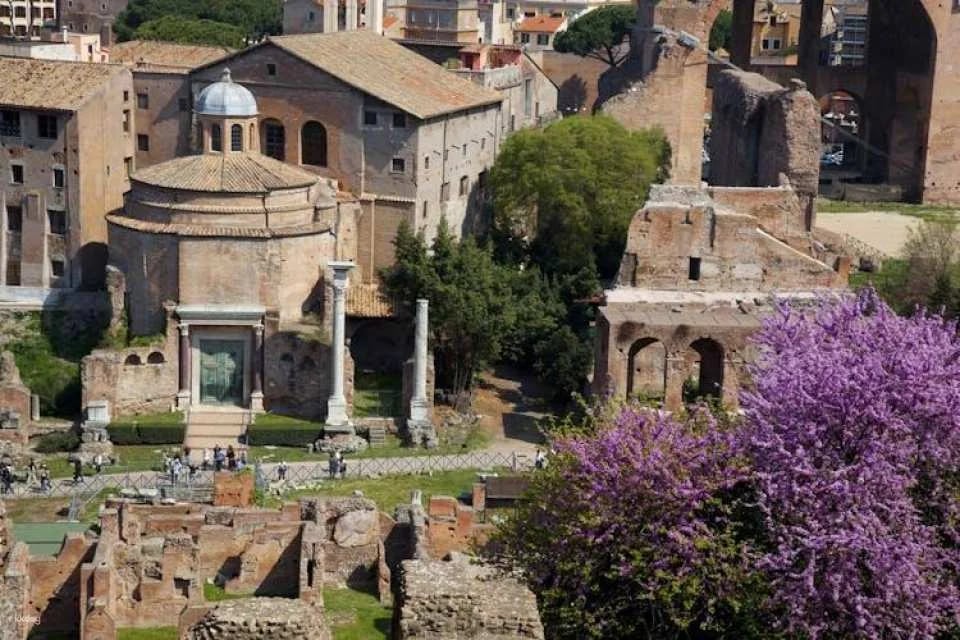 Colosseum with Arena, Roman Forum and Palatine Hill Guided Tour
