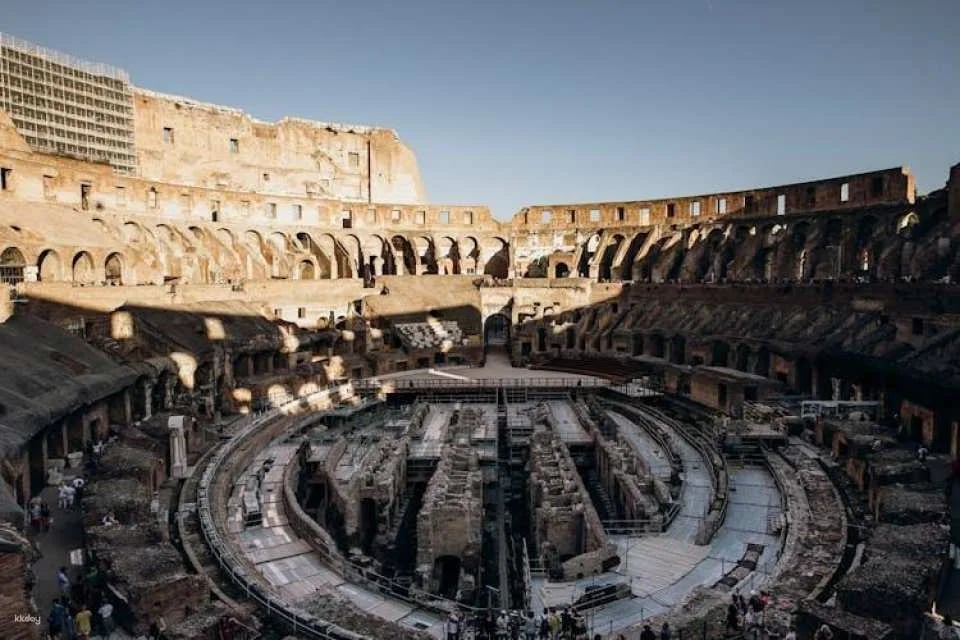 Colosseum with the arena floor, Roman Forum and Palatine Hill tour
