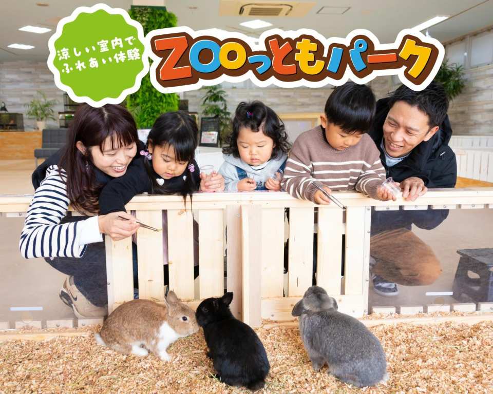 Combined admission ticket for Minachita Seaside Park & Minachita Toy Kingdom in Aichi Prefecture, Japan