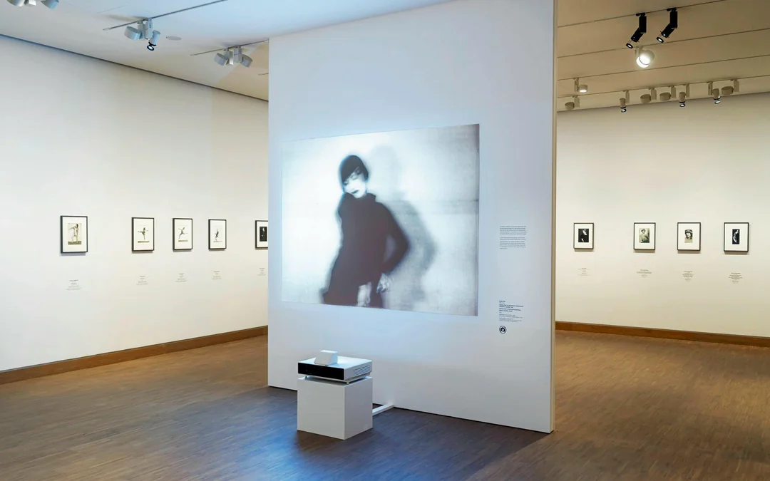 Combo: Albertina Museum + Modern + Klosterneuburg Entry Tickets Image 4