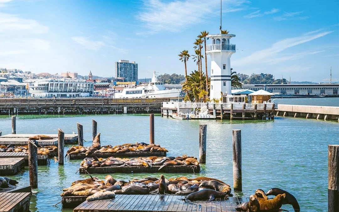 Combo: Alcatraz Tour + San Francisco 48-Hour Hop-on Hop-off Bus Tour Image 7
