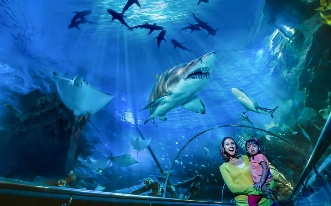 Combo: Aquaria KLCC Tickets + Kuala Lumpur Hop-On Hop-Off Bus Tour Image 2