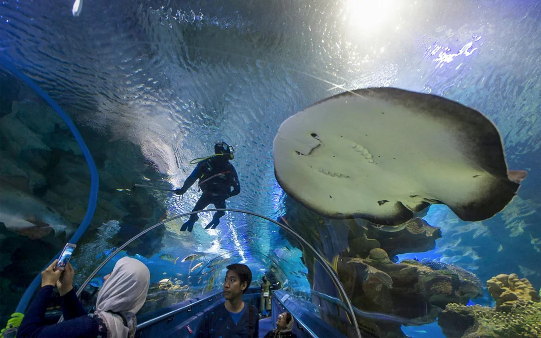 Combo: Aquaria KLCC Tickets + Kuala Lumpur Hop-On Hop-Off Bus Tour Image 11