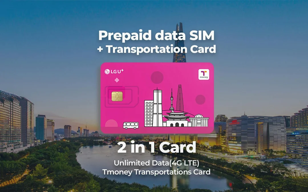 COMBO: AREX Incheon Airport Express Train + Korea SIM Card + Lotte World Tickets Image 4