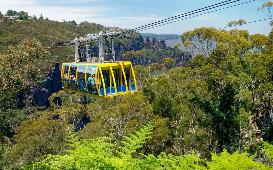 Combo: Blue Mountains Guided Day Tour + Sydney Hop-On Hop-Off Bus Tour Image 2
