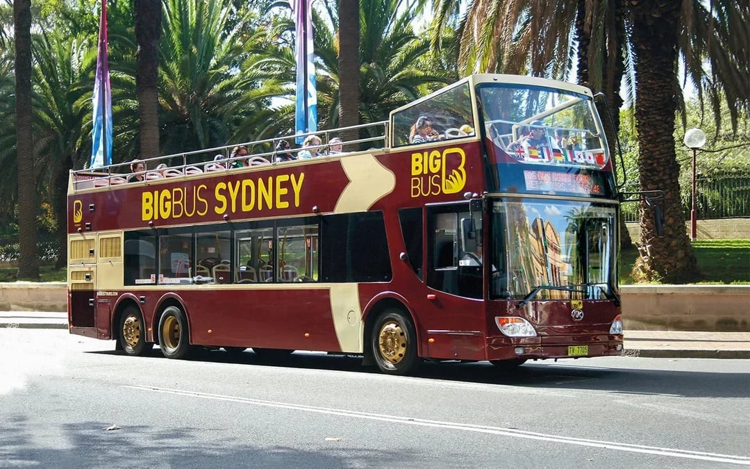 Combo: Blue Mountains Guided Day Tour + Sydney Hop-On Hop-Off Bus Tour Image 3