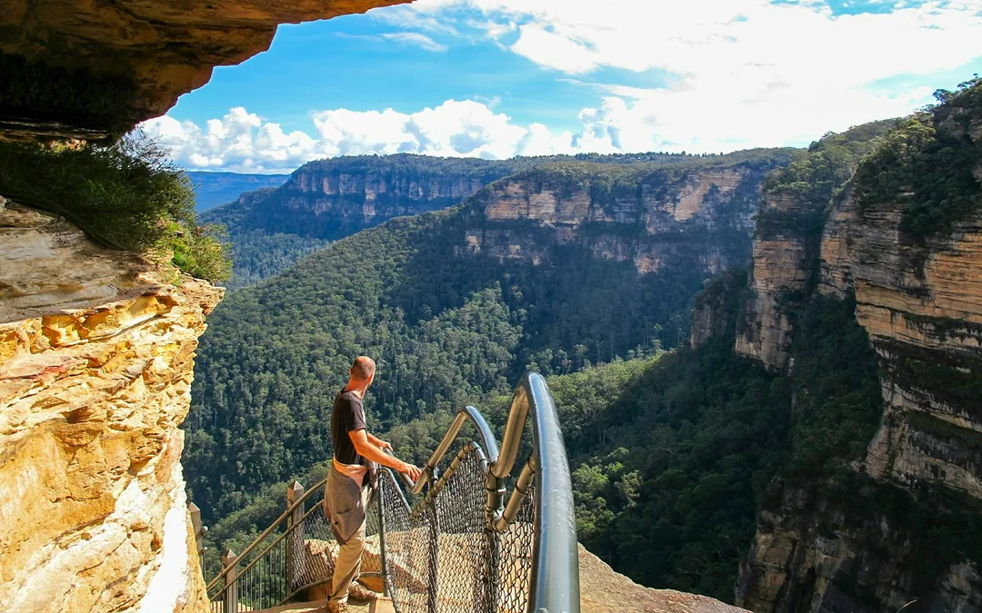 Combo: Blue Mountains Guided Day Tour + Sydney Hop-On Hop-Off Bus Tour Image 5