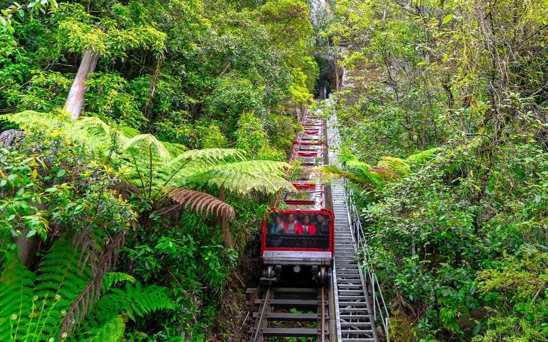 Combo: Blue Mountains Guided Day Tour + Sydney Hop-On Hop-Off Bus Tour Image 7
