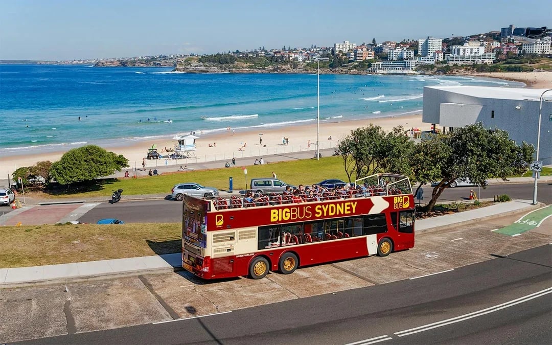 Combo: Blue Mountains Guided Day Tour + Sydney Hop-On Hop-Off Bus Tour Image 9