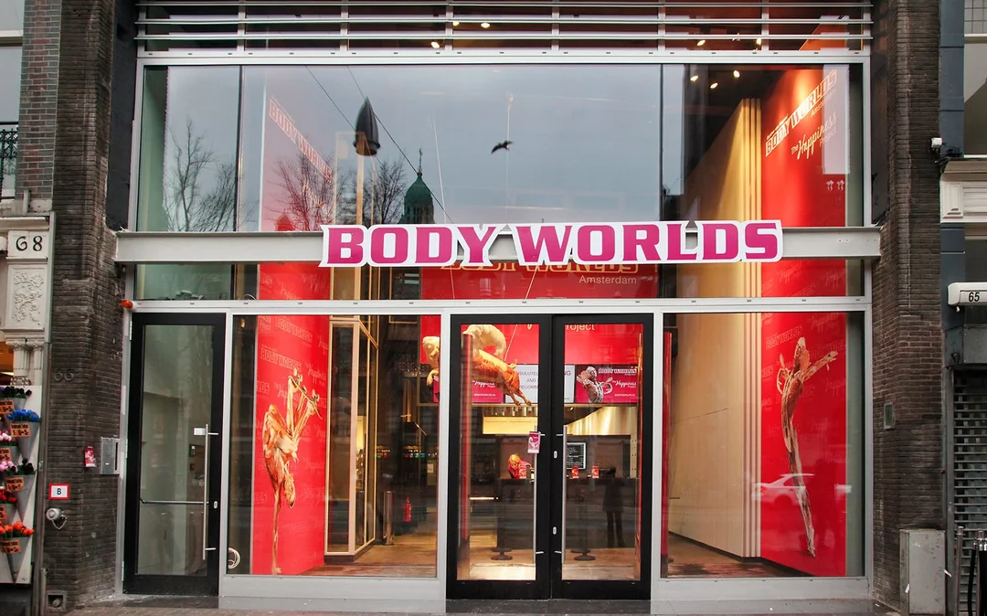 Combo: Body Worlds Amsterdam + Canal Cruise Tickets Image 2